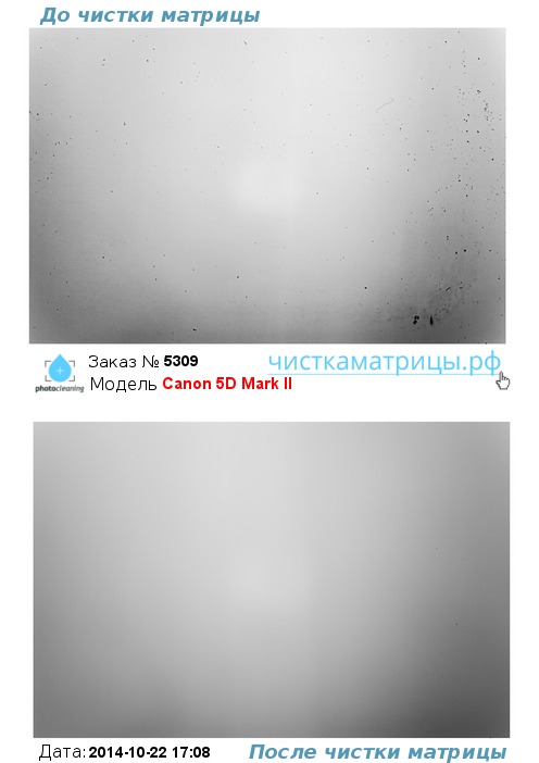 Чистка матрицы Canon 5D Mark II Чистка матрицы Canon 5D Mark II