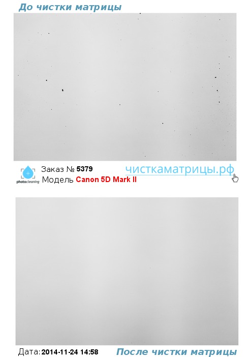 Чистка матрицы Canon 5D Mark II Чистка матрицы Canon 5D Mark II