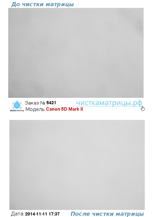 Чистка матрицы Canon 5D Mark II Чистка матрицы Canon 5D Mark II