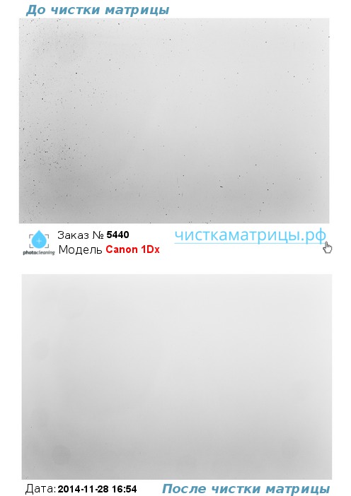 Чистка матрицы Canon 1Dx Чистка матрицы Canon 1Dx