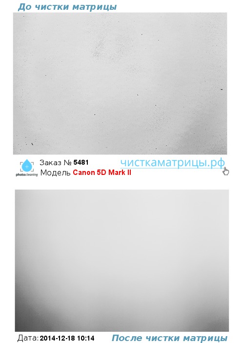 Чистка матрицы Canon 5D Mark II Чистка матрицы Canon 5D Mark II