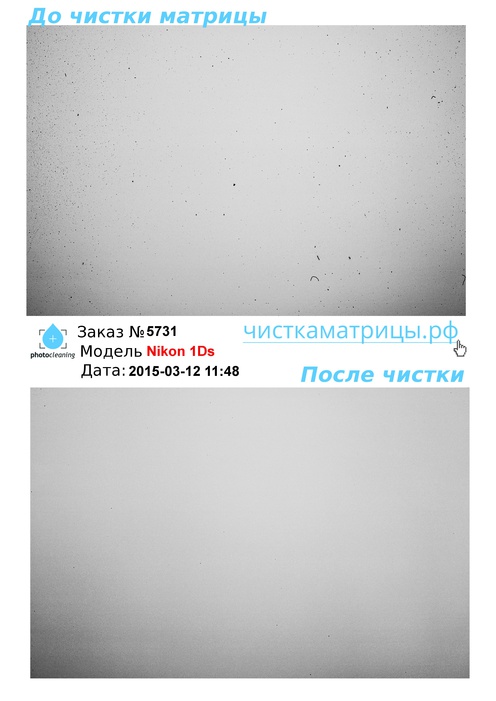 Чистка матрицы Nikon 1Ds Чистка матрицы Nikon 1Ds