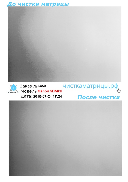 Чистка матрицы Canon 5DMkII Чистка матрицы Canon 5DMkII