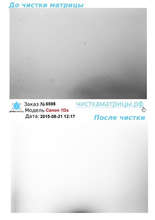 Чистка матрицы Canon 1Dx Чистка матрицы Canon 1Dx