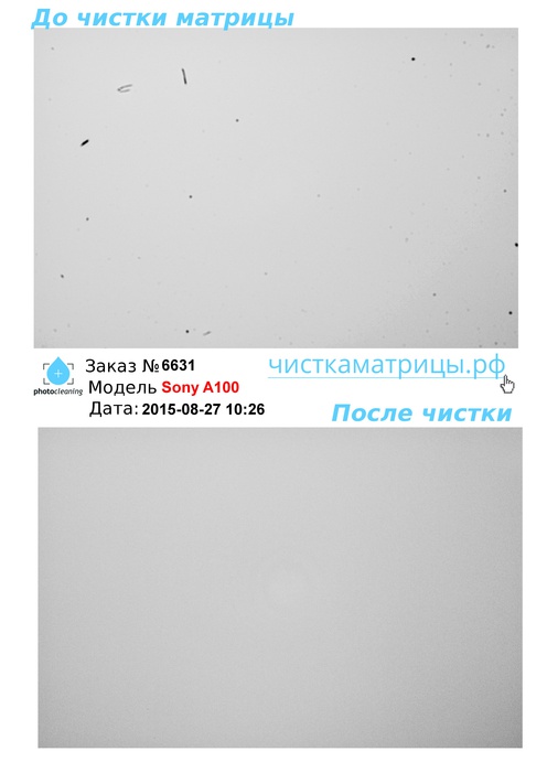 Чистка матрицы Sony A100 Чистка матрицы Sony A100