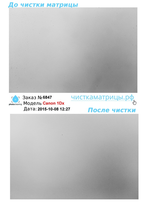 Чистка матрицы Canon 1Dx Чистка матрицы Canon 1Dx