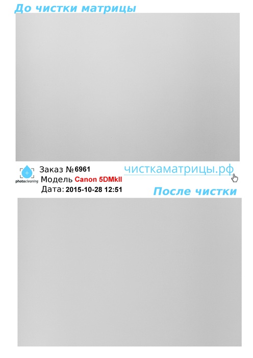 Чистка матрицы Canon 5DMkII Чистка матрицы Canon 5DMkII