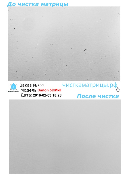 Чистка матрицы Canon 5DMkII Чистка матрицы Canon 5DMkII