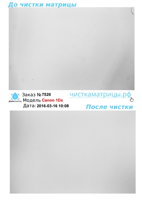 Чистка матрицы Canon 1Dx Чистка матрицы Canon 1Dx