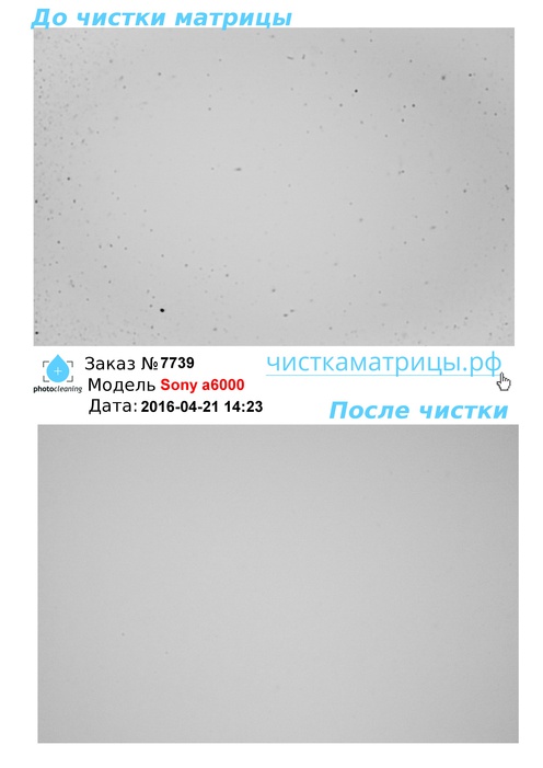 Чистка матрицы Sony a6000 Чистка матрицы Sony a6000