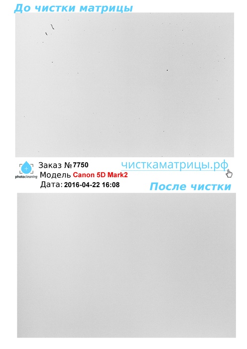Чистка матрицы Canon 5D Mark2 Чистка матрицы Canon 5D Mark2