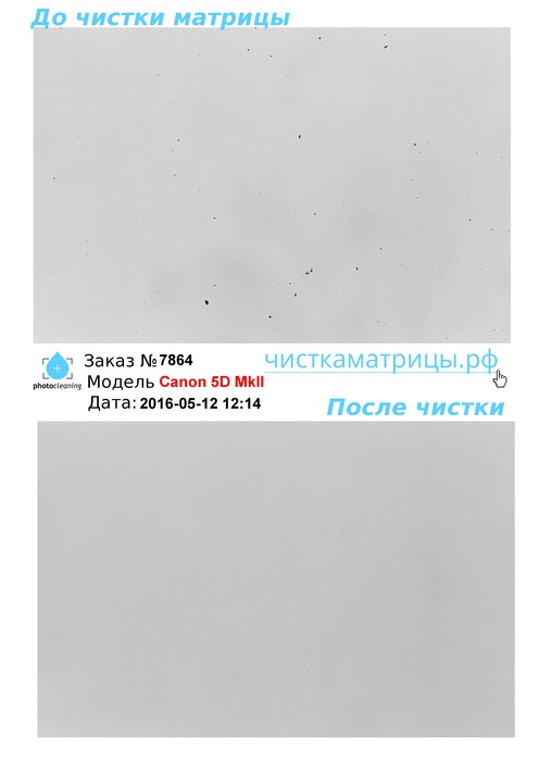Чистка матрицы Canon 5D MkII Чистка матрицы Canon 5D MkII
