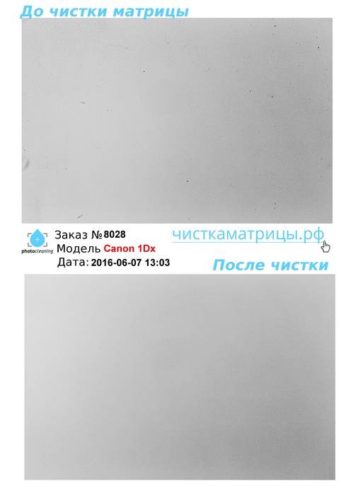 Чистка матрицы Canon 1Dx Чистка матрицы Canon 1Dx