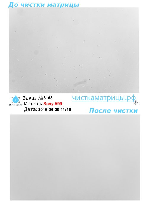Чистка матрицы Sony A99 Чистка матрицы Sony A99