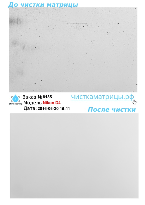 Чистка матрицы Nikon D4 Чистка матрицы Nikon D4
