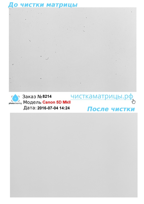 Чистка матрицы Canon 5D MkII Чистка матрицы Canon 5D MkII