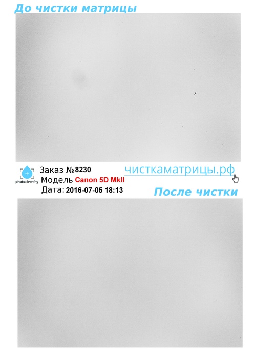 Чистка матрицы Canon 5D MkII Чистка матрицы Canon 5D MkII