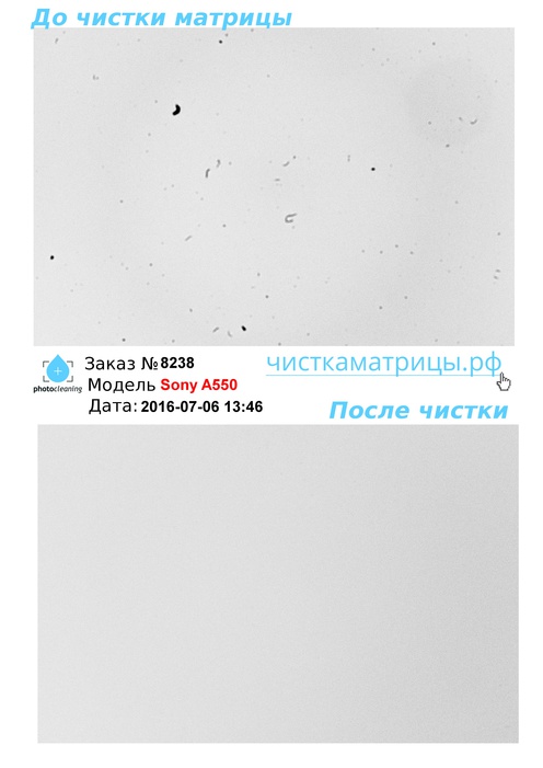 Чистка матрицы Sony A550 Чистка матрицы Sony A550