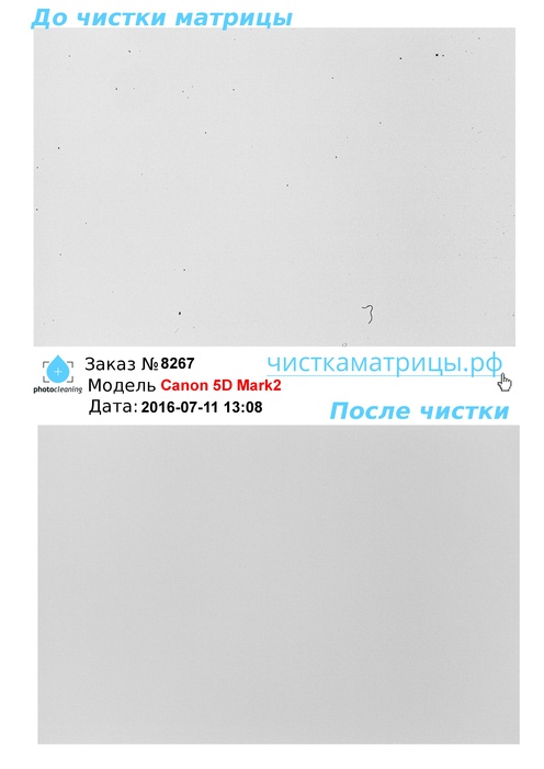 Чистка матрицы Canon 5D Mark2 Чистка матрицы Canon 5D Mark2