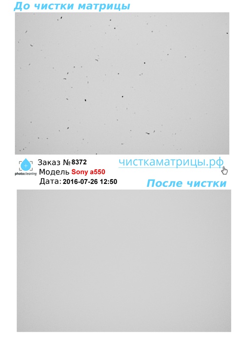 Чистка матрицы Sony a550 Чистка матрицы Sony a550
