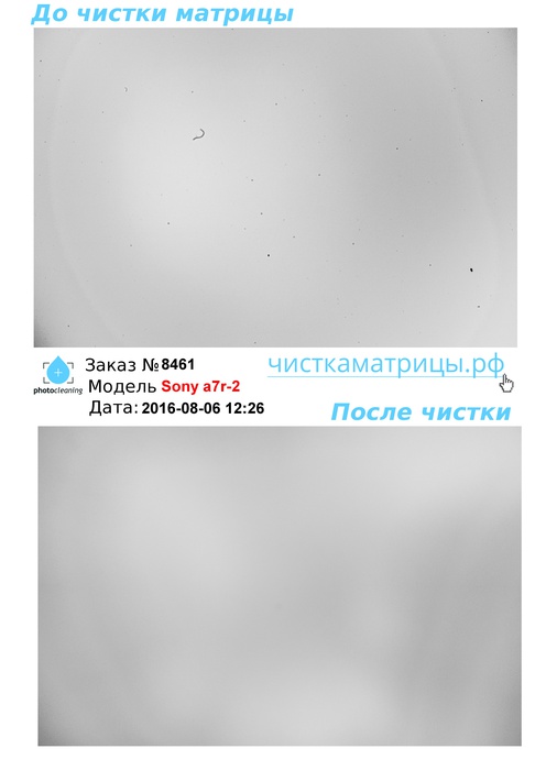 Чистка матрицы Sony a7r-2 Чистка матрицы Sony a7r-2