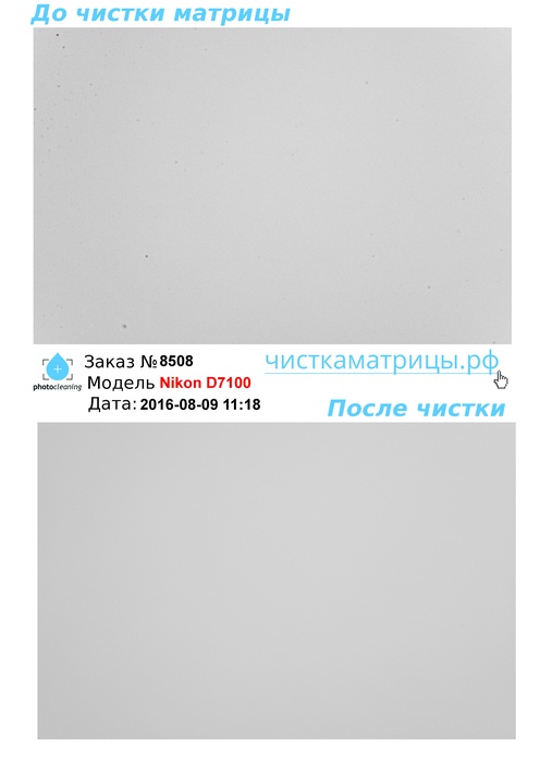 Чистка матрицы Nikon D7100 Чистка матрицы Nikon D7100