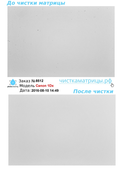 Чистка матрицы Canon 1Dx Чистка матрицы Canon 1Dx