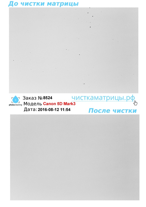 Чистка матрицы Canon 5D Mark3 Чистка матрицы Canon 5D Mark3