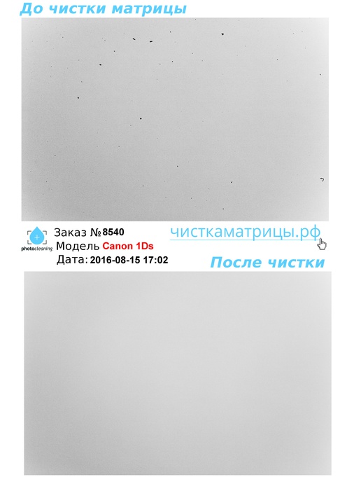 Чистка матрицы Canon 1Ds Чистка матрицы Canon 1Ds