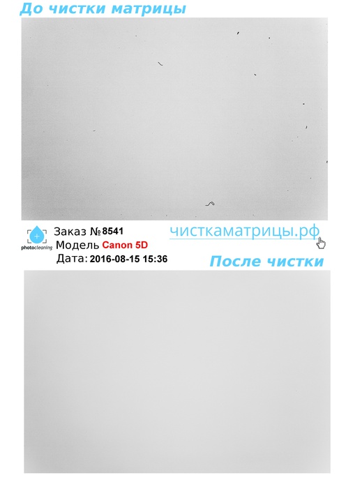 Чистка матрицы Canon 5D Чистка матрицы Canon 5D