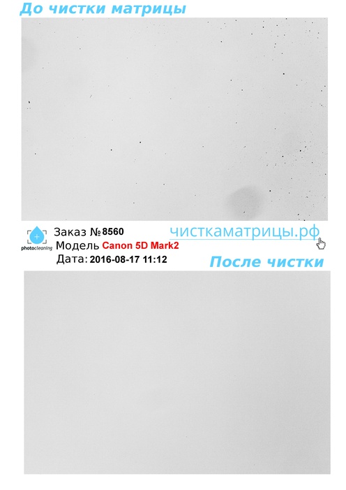 Чистка матрицы Canon 5D Mark2 Чистка матрицы Canon 5D Mark2