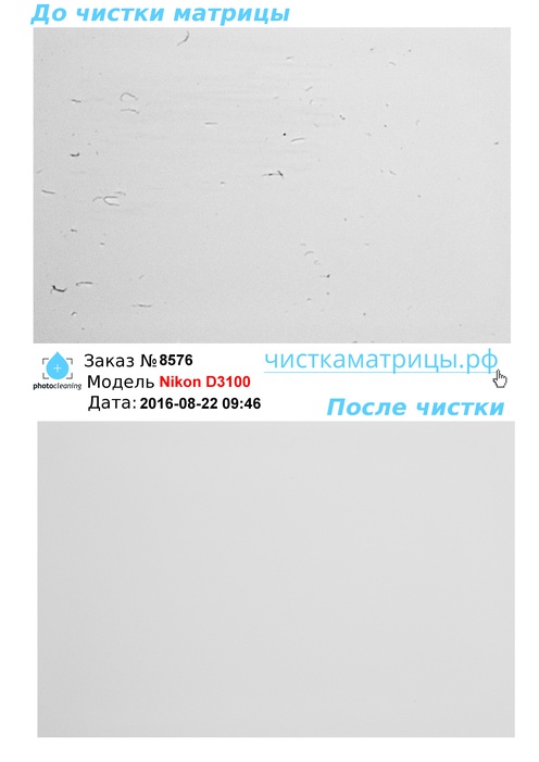 Чистка матрицы Nikon D3100 Чистка матрицы Nikon D3100