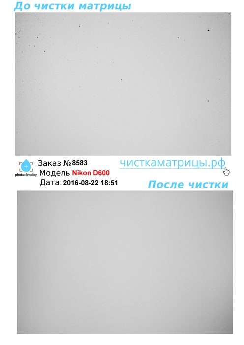 Чистка матрицы Nikon D600 Чистка матрицы Nikon D600