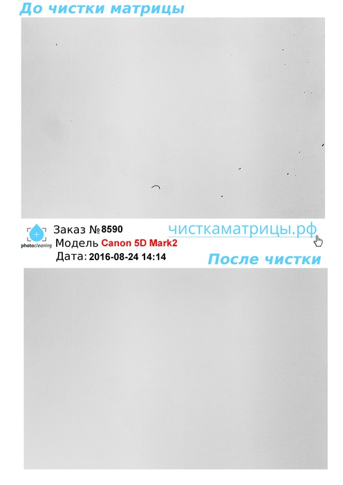 Чистка матрицы Canon 5D Mark2 Чистка матрицы Canon 5D Mark2