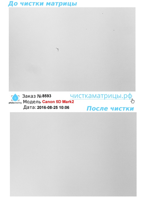 Чистка матрицы Canon 5D Mark2 Чистка матрицы Canon 5D Mark2