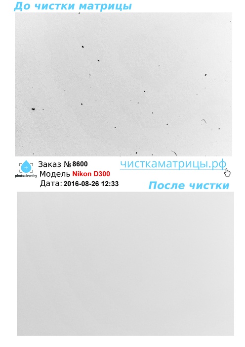 Чистка матрицы Nikon D300 Чистка матрицы Nikon D300