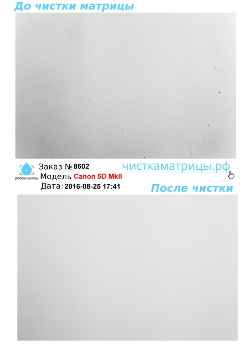 Чистка матрицы Canon 5D MkII Чистка матрицы Canon 5D MkII