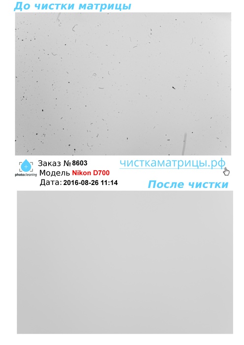 Чистка матрицы Nikon D700 Чистка матрицы Nikon D700