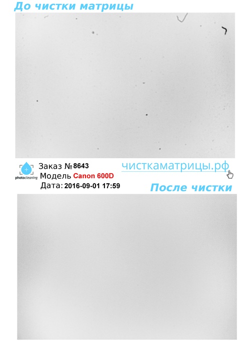 Чистка матрицы Canon 600D Чистка матрицы Canon 600D