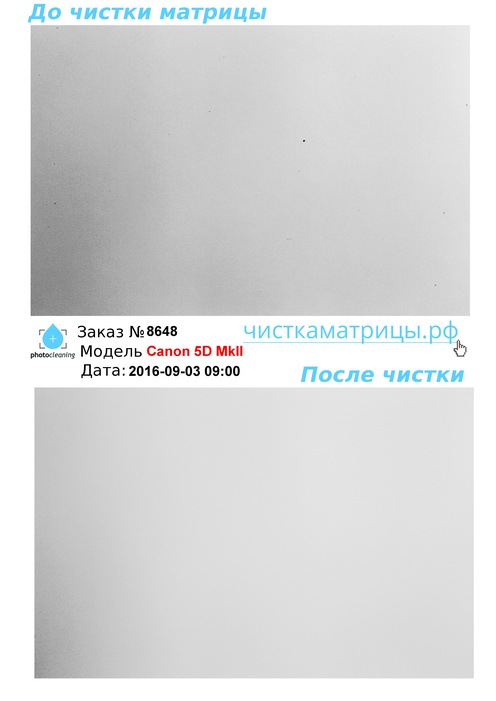 Чистка матрицы Canon 5D MkII Чистка матрицы Canon 5D MkII