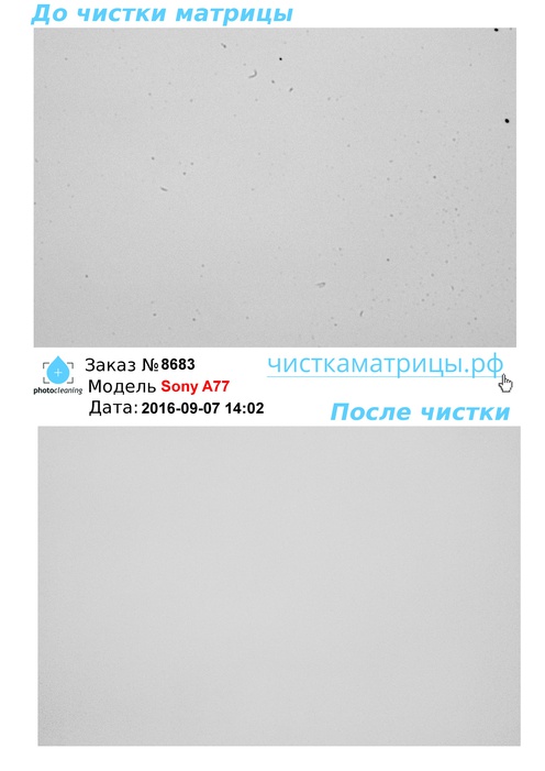 Чистка матрицы Sony A77 Чистка матрицы Sony A77