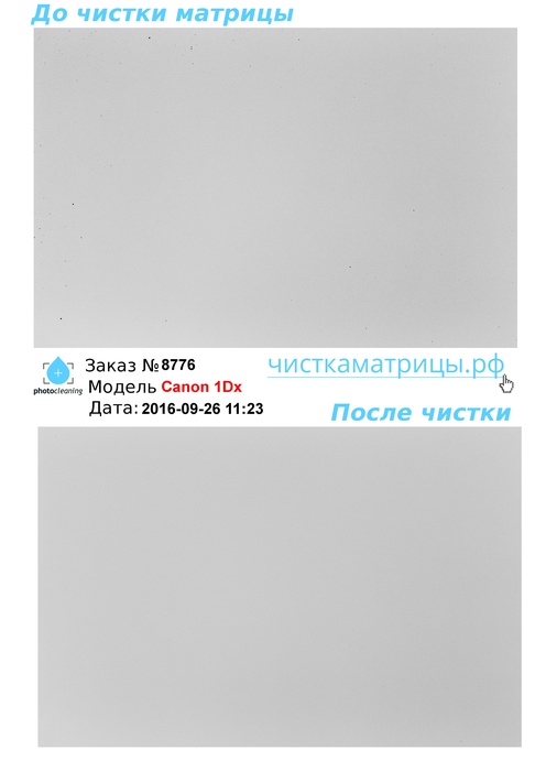 Чистка матрицы Canon 1Dx Чистка матрицы Canon 1Dx
