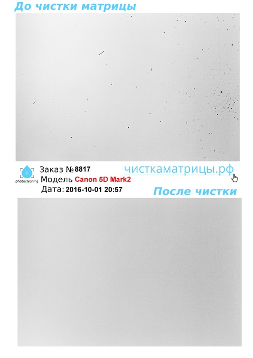 Чистка матрицы Canon 5D Mark2 Чистка матрицы Canon 5D Mark2