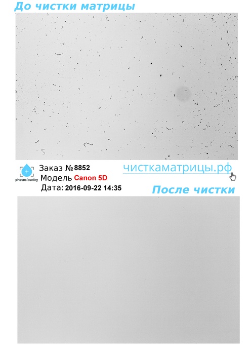 Чистка матрицы Canon 5D Чистка матрицы Canon 5D