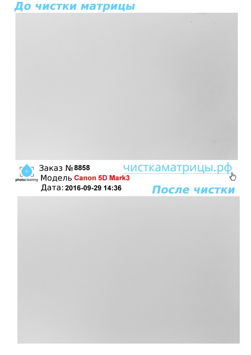 Чистка матрицы Canon 5D Mark3 Чистка матрицы Canon 5D Mark3