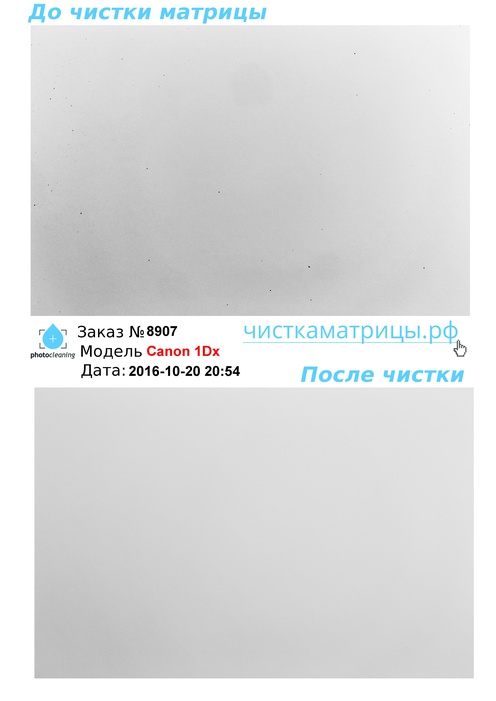Чистка матрицы Canon 1Dx Чистка матрицы Canon 1Dx