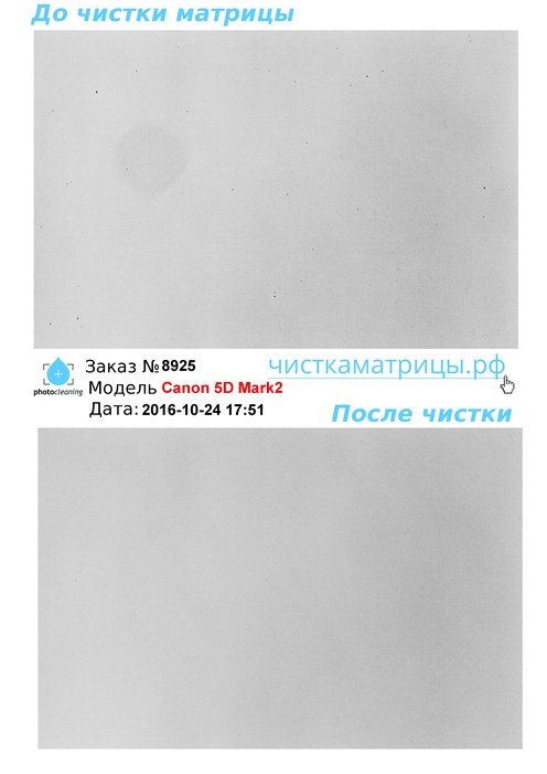 Чистка матрицы Canon 5D Mark2 Чистка матрицы Canon 5D Mark2