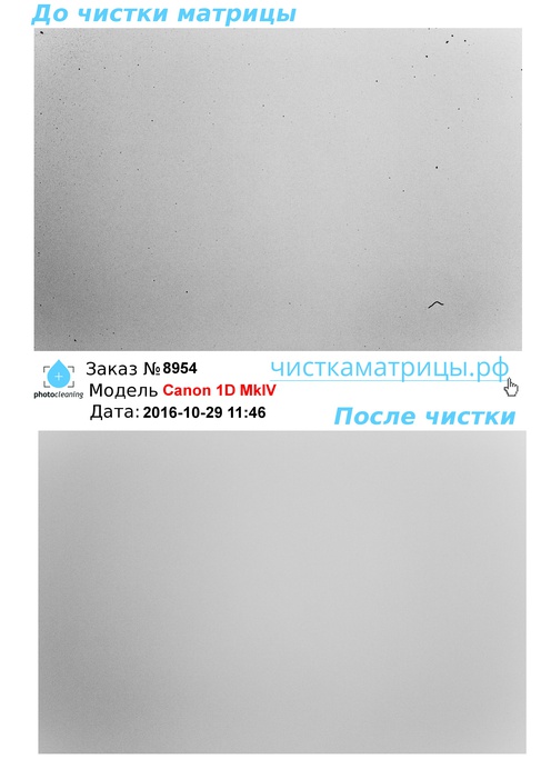 Чистка матрицы Canon 1D MkIV Чистка матрицы Canon 1D MkIV