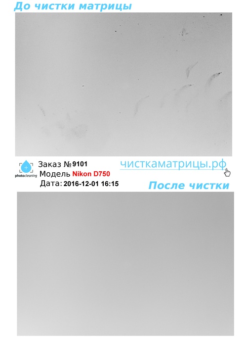 Чистка матрицы Nikon D750 Чистка матрицы Nikon D750