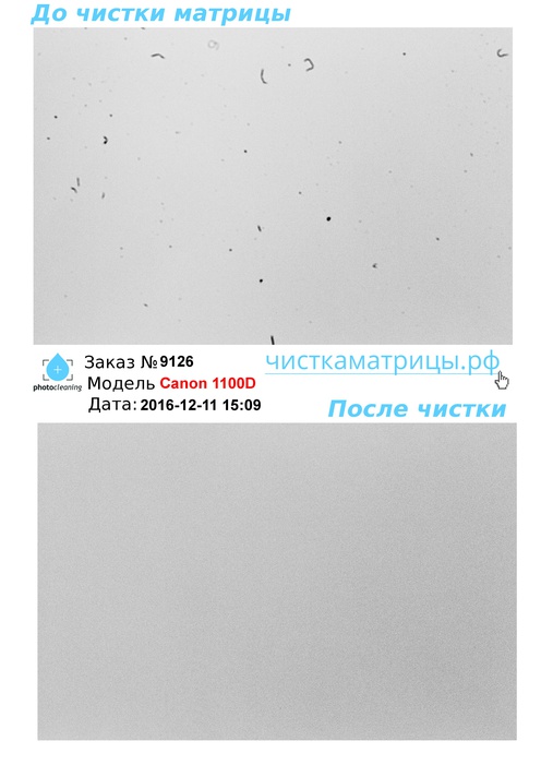 Чистка матрицы Canon 1100D Чистка матрицы Canon 1100D